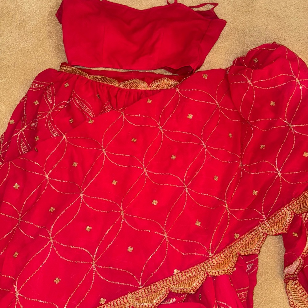 Pink Lehenga with Dupatta - Picture 5 of 15